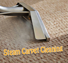 steam carpet cleaning