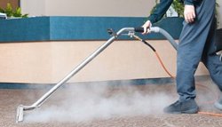 steam cleaner